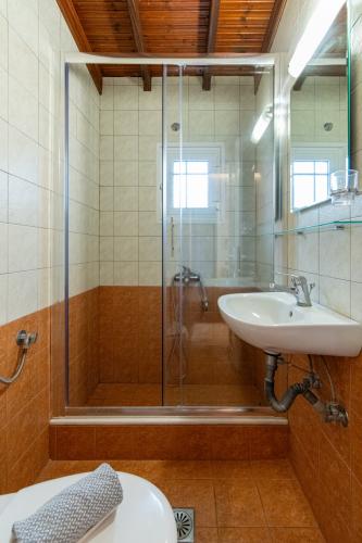 triple_studio_a4_8177